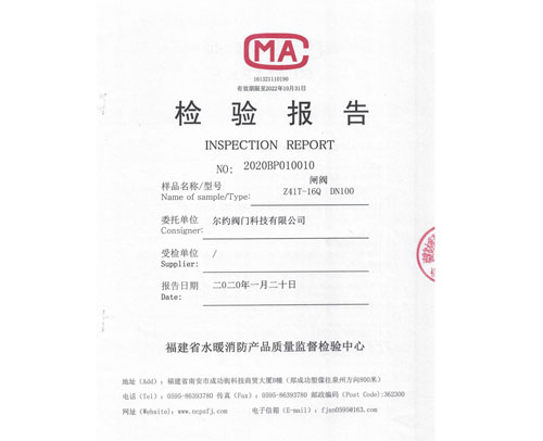 閘閥檢驗(yàn)報(bào)告